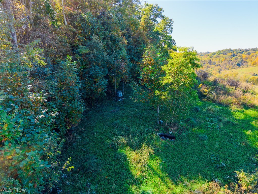 Crabapple Road Alledonia OH 43902