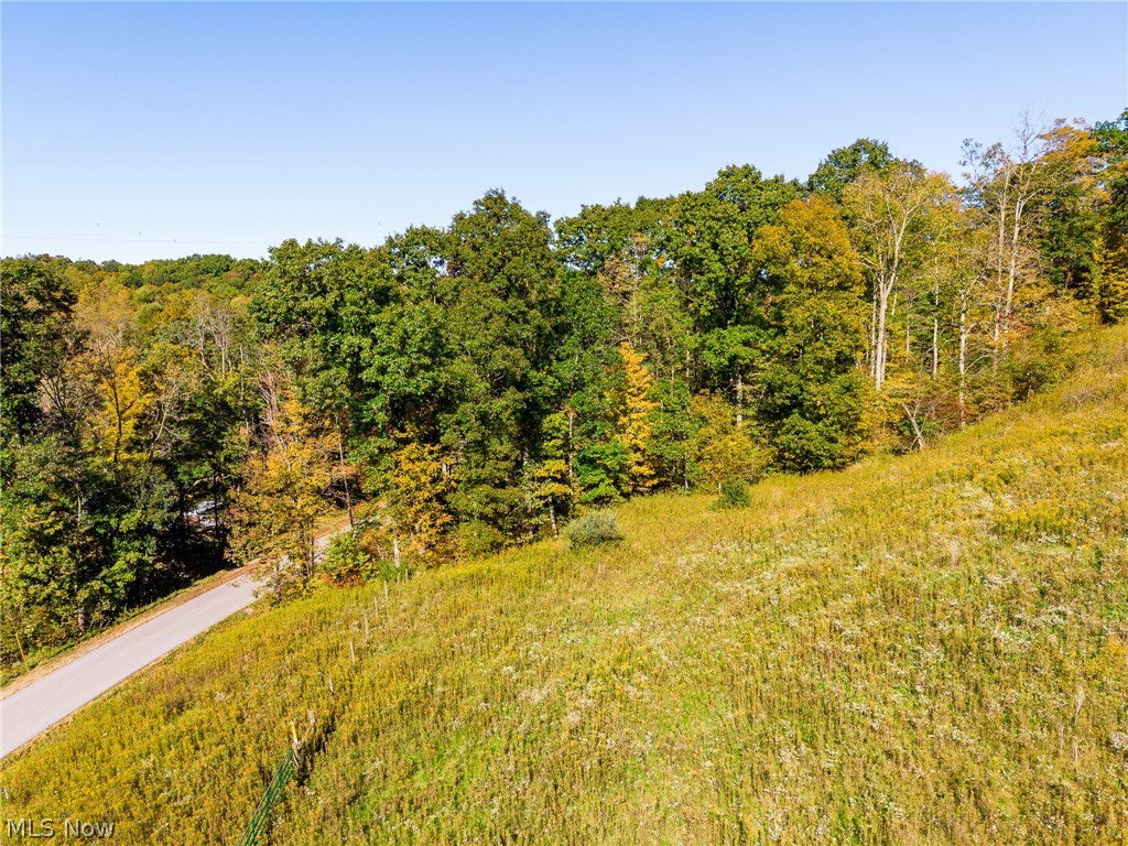 Crabapple Road Alledonia OH 43902
