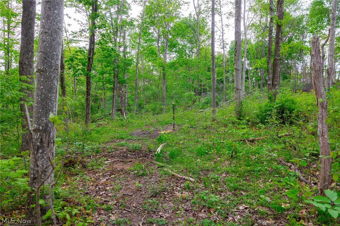 37795 Sheep Skin Ridge Lower Salem OH 45745