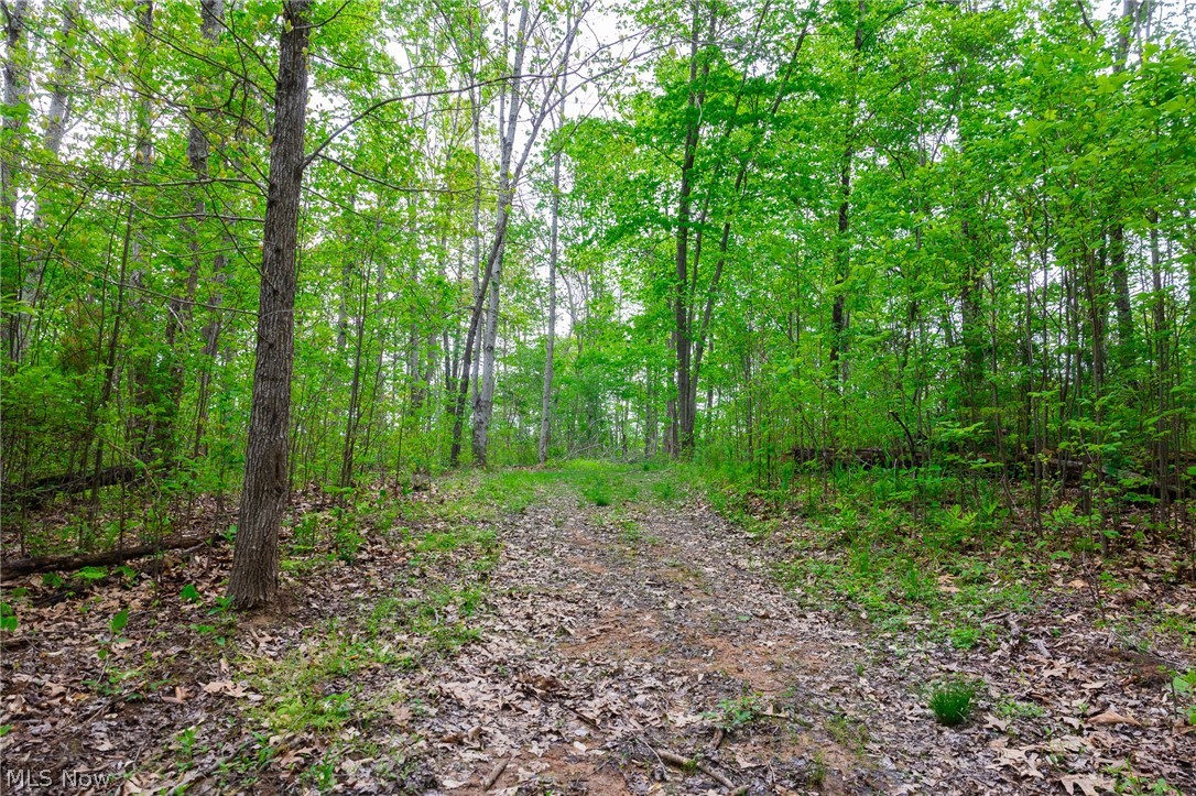 37795 Sheep Skin Ridge Lower Salem OH 45745