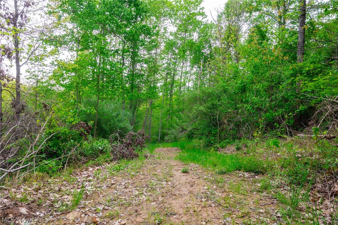37795 Sheep Skin Ridge Lower Salem OH 45745