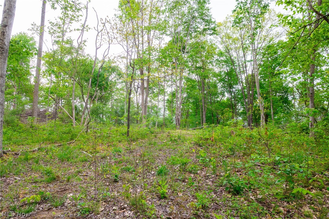 37795 Sheep Skin Ridge Lower Salem OH 45745