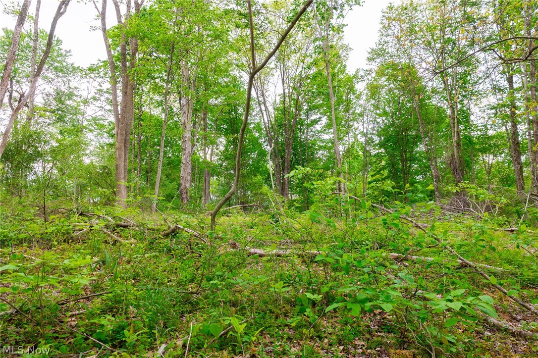 37795 Sheep Skin Ridge Lower Salem OH 45745