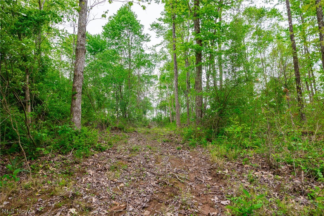 37795 Sheep Skin Ridge Lower Salem OH 45745