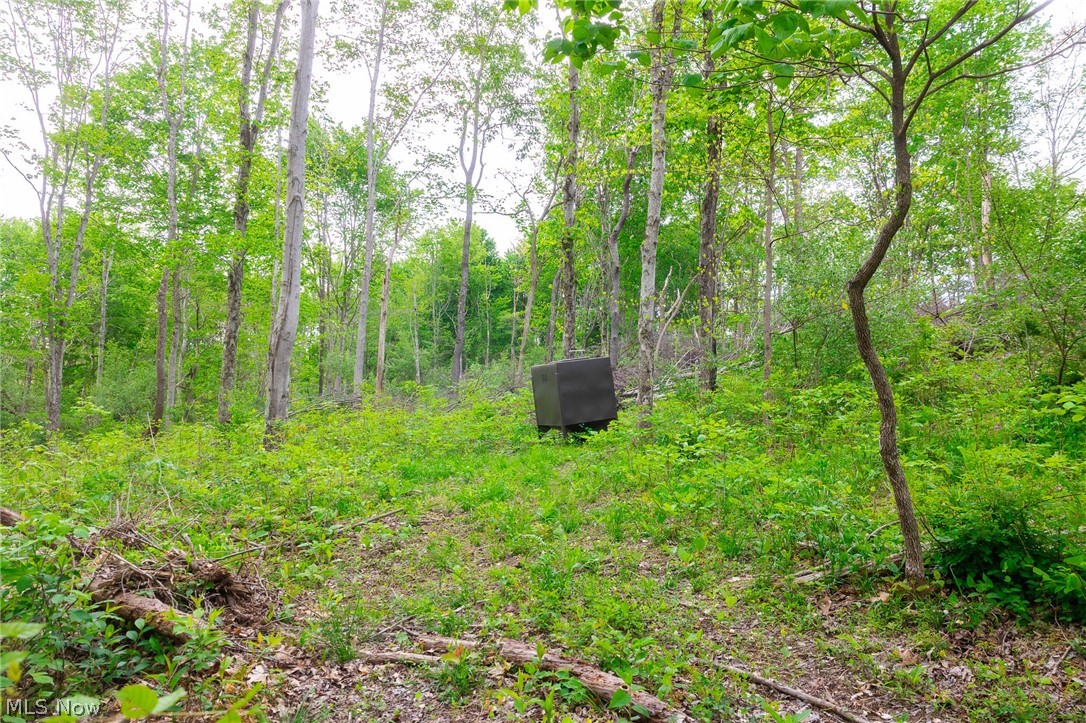 37795 Sheep Skin Ridge Lower Salem OH 45745