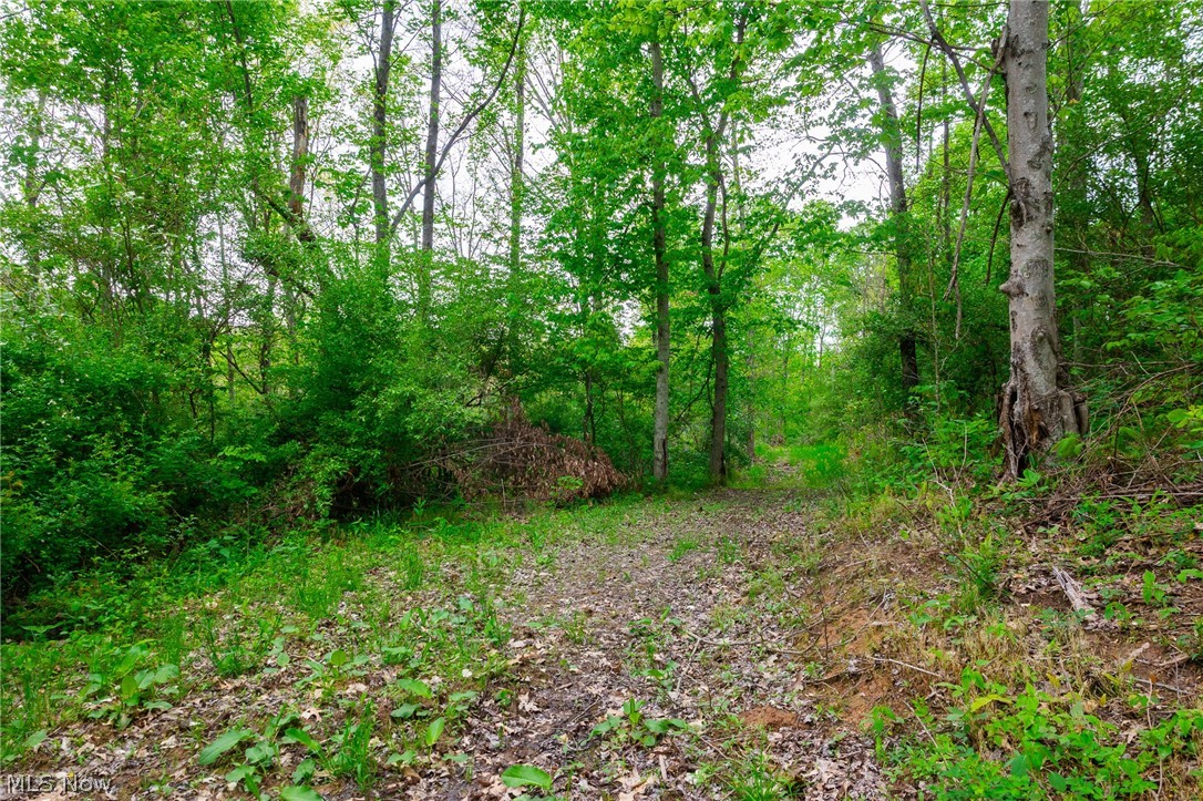 37795 Sheep Skin Ridge Lower Salem OH 45745