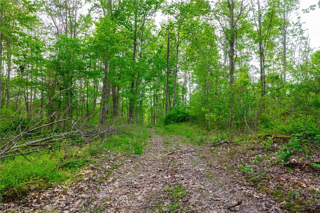 37795 Sheep Skin Ridge Lower Salem OH 45745