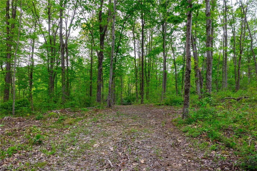 37795 Sheep Skin Ridge Lower Salem OH 45745