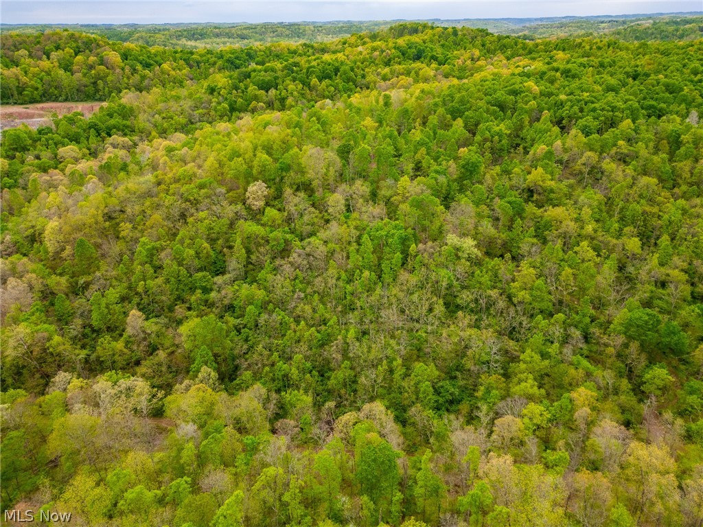 37795 Sheep Skin Ridge Lower Salem OH 45745