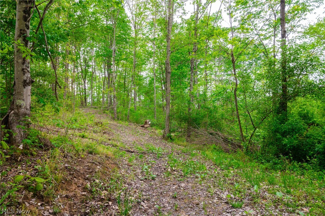 37795 Sheep Skin Ridge Lower Salem OH 45745