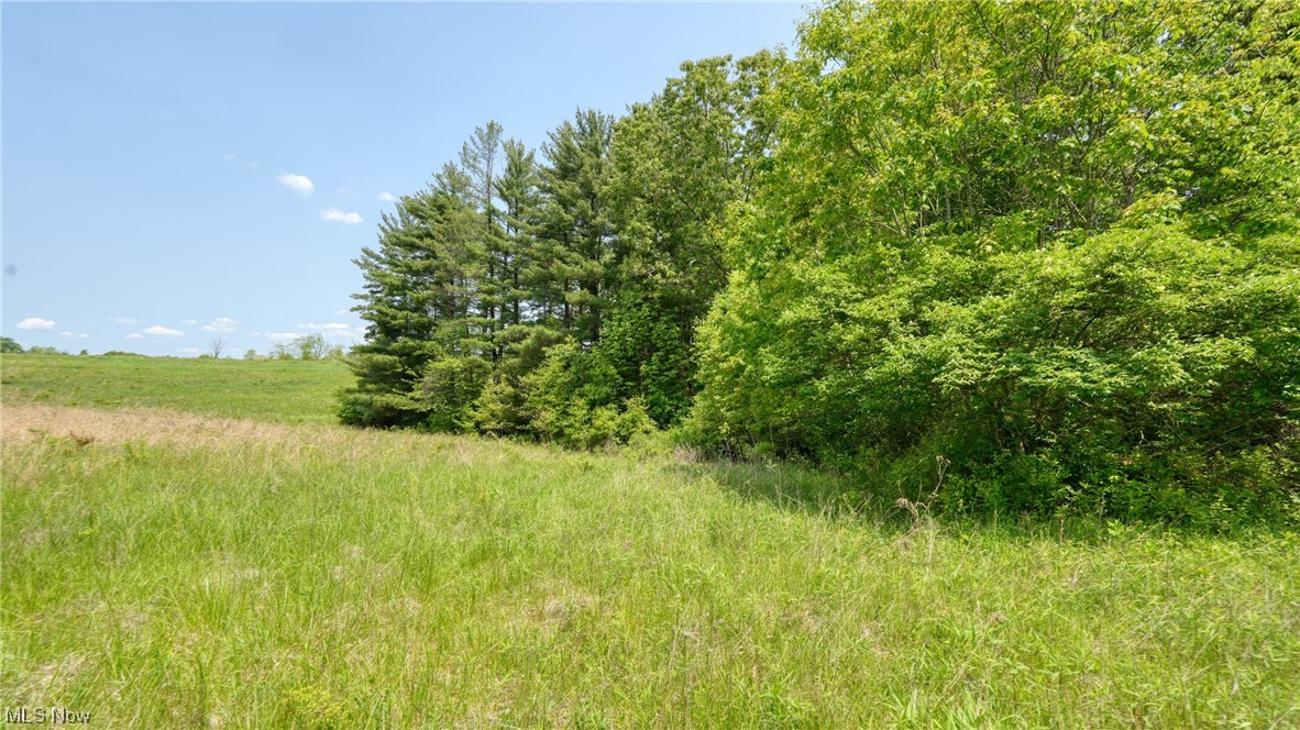 63690 Wintergreen Road Lore City OH 43755