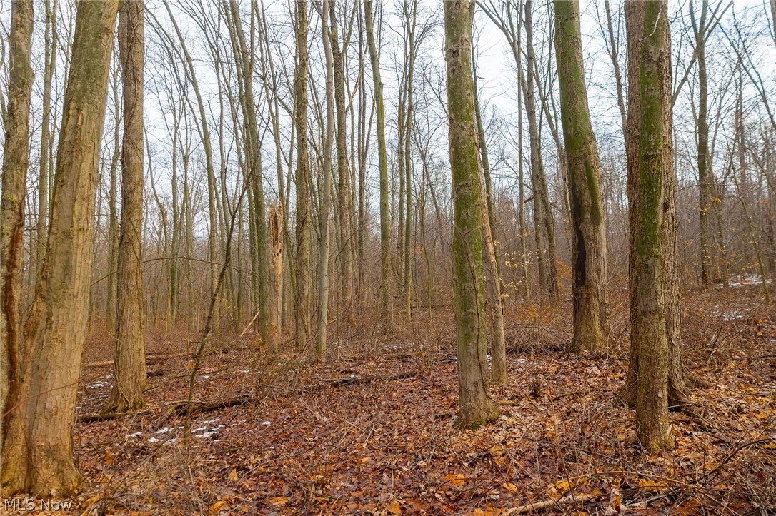 7389 Doylestown Road Sterling OH 44276