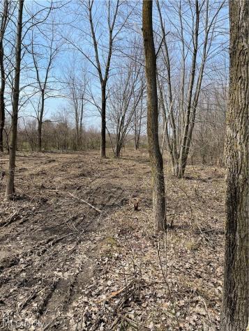 Oberlin Road Elyria OH 44035
