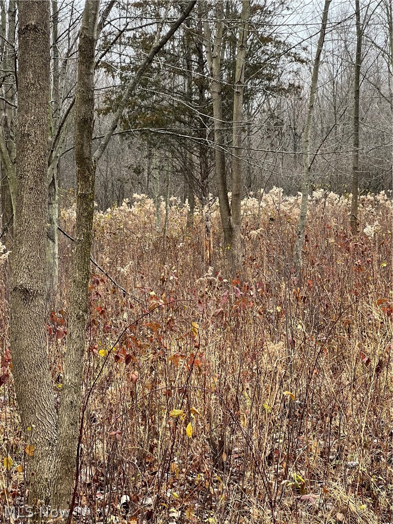 Oberlin Road Elyria OH 44035