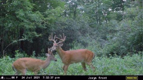 Oberlin Road Elyria OH 44035