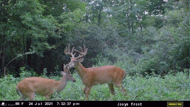 Oberlin Road Elyria OH 44035