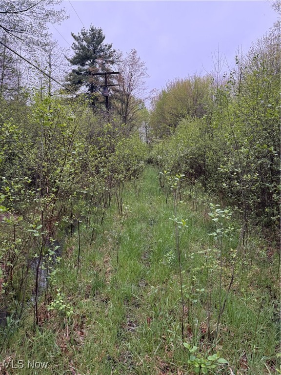 Durst Drive Cortland OH 44410