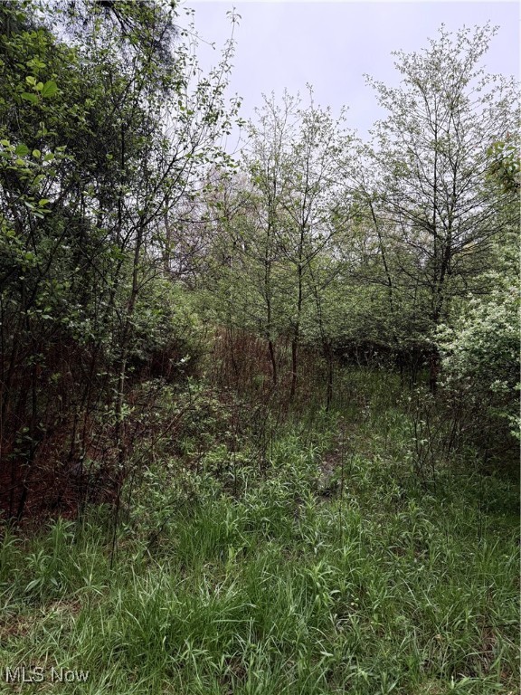 Durst Drive Cortland OH 44410