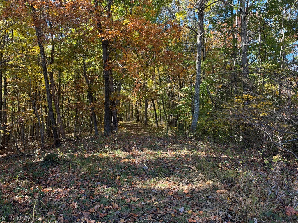 0 Dearth Rdge-rias Run Road Graysville OH 45734