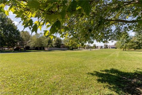 V/l Spruce Drive Oberlin OH 44074