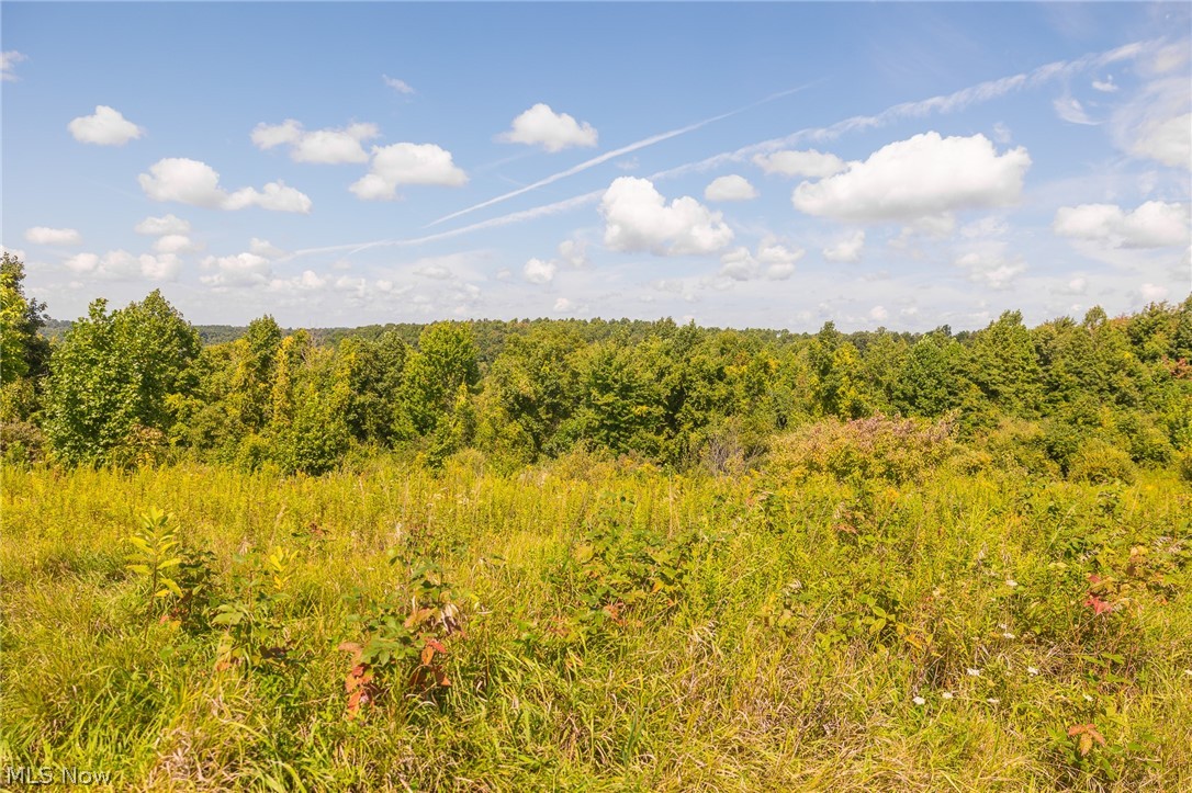 Putney Ridge Road Quaker City OH 43773