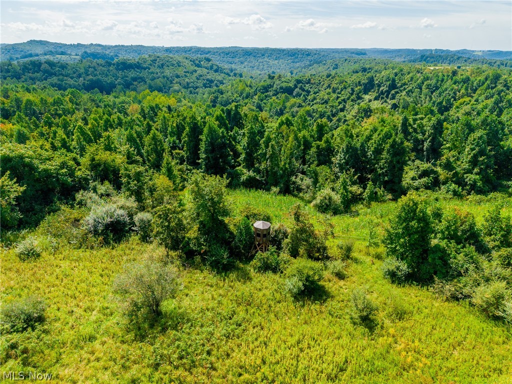 Putney Ridge Road Quaker City OH 43773