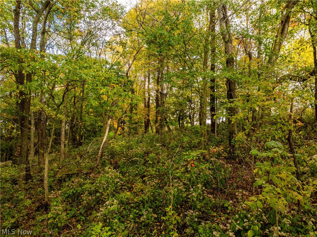 Township Road 182 Fresno OH 43824