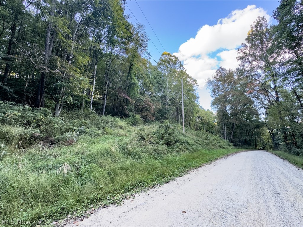0 Marlatt Run Road Kimbolton OH 43832
