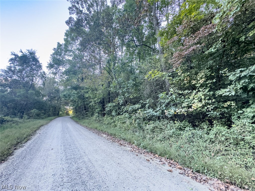 0 Marlatt Run Road Kimbolton OH 43832