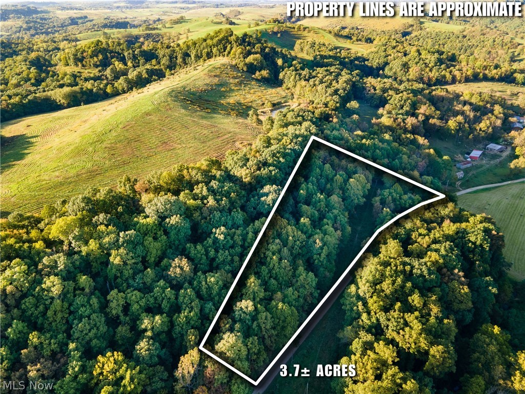 0 Marlatt Run Road Kimbolton OH 43832