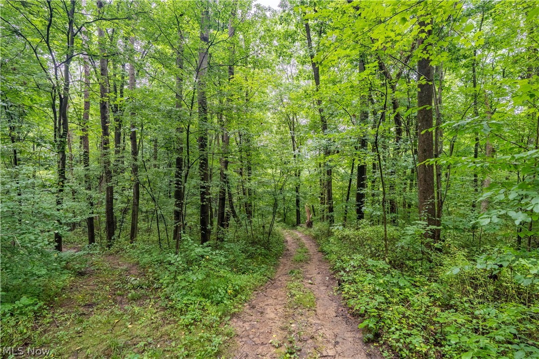 17881 Horseshoe Bend Road E Newcomerstown OH 43832