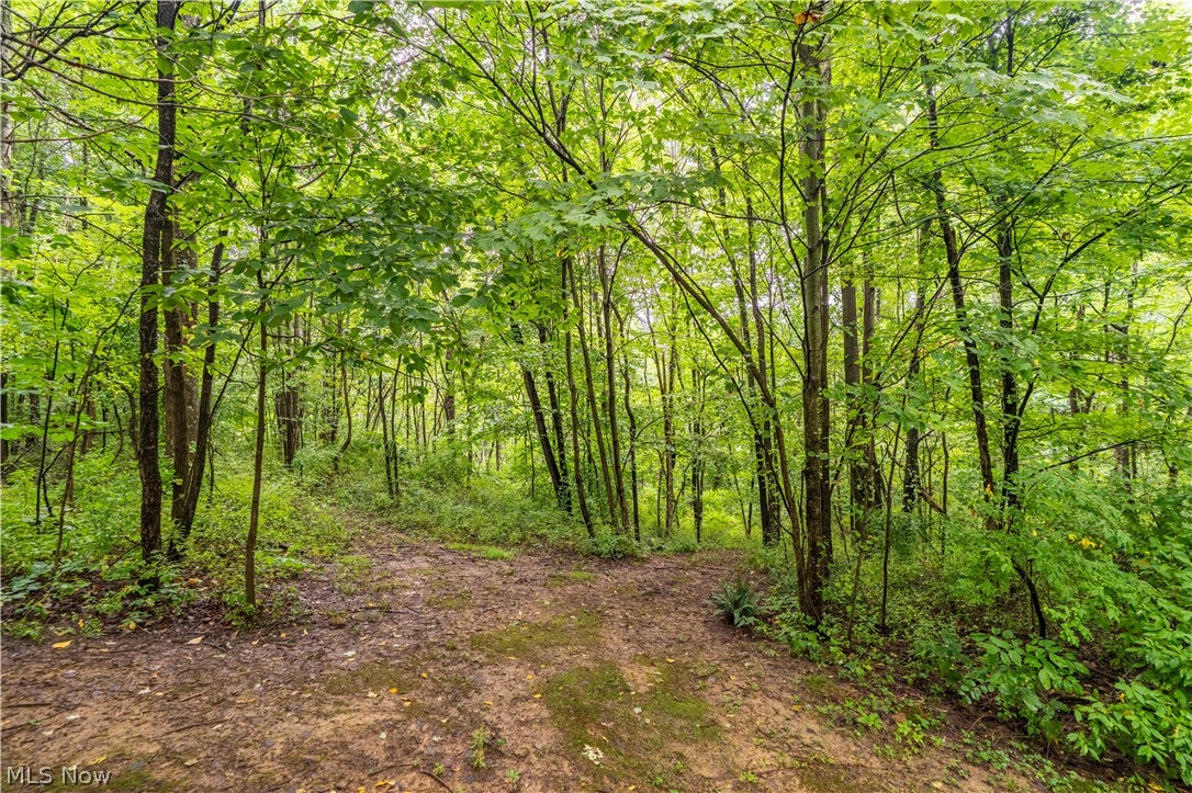 17881 Horseshoe Bend Road E Newcomerstown OH 43832