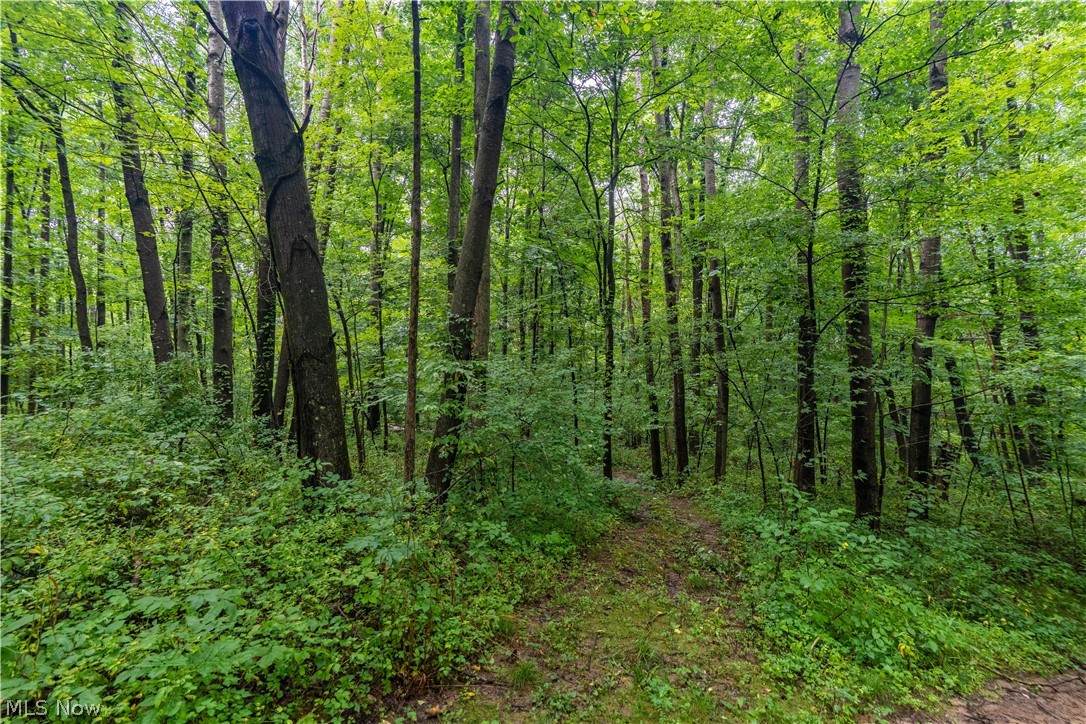 17881 Horseshoe Bend Road E Newcomerstown OH 43832