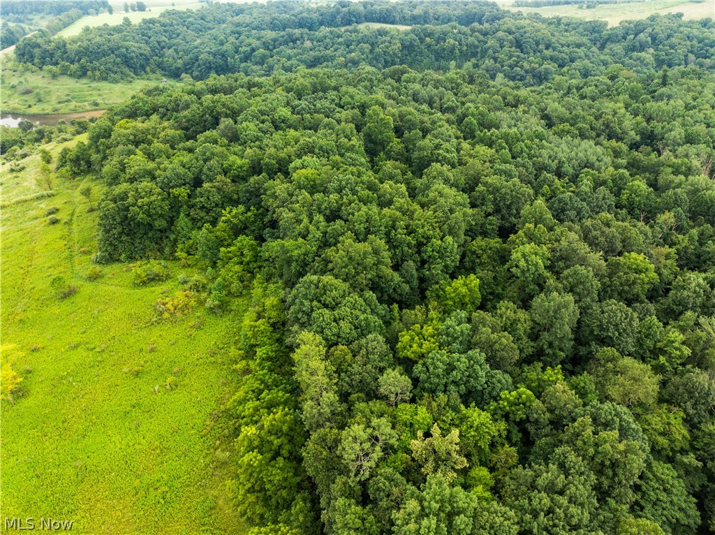 17881 Horseshoe Bend Road E Newcomerstown OH 43832