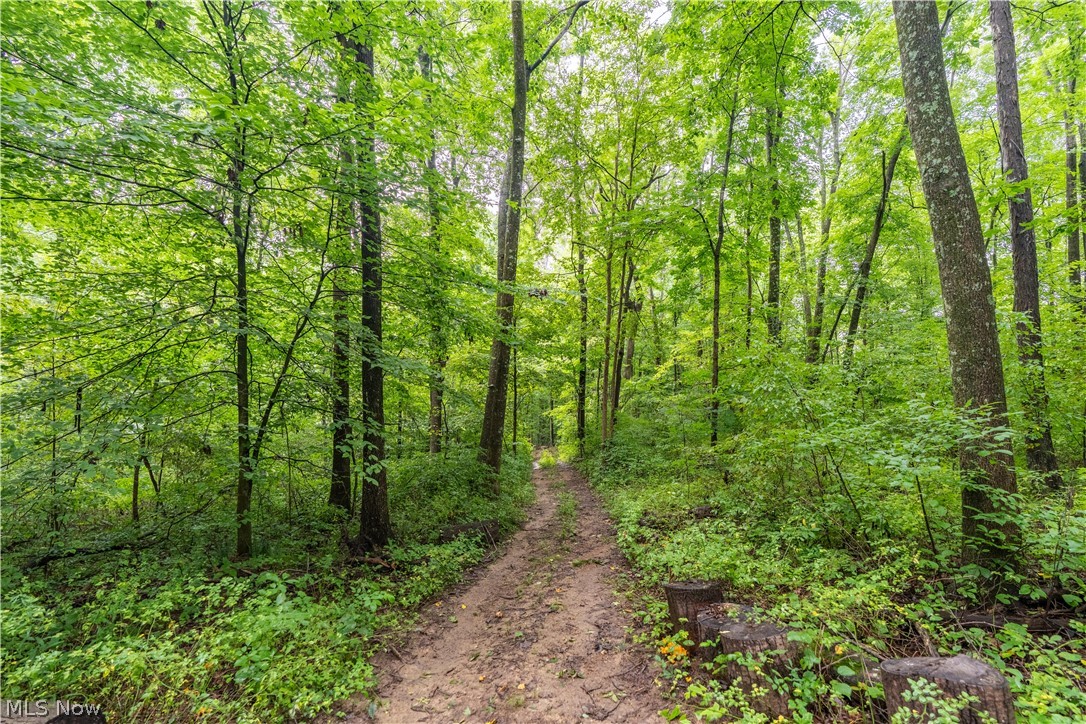 17881 Horseshoe Bend Road E Newcomerstown OH 43832
