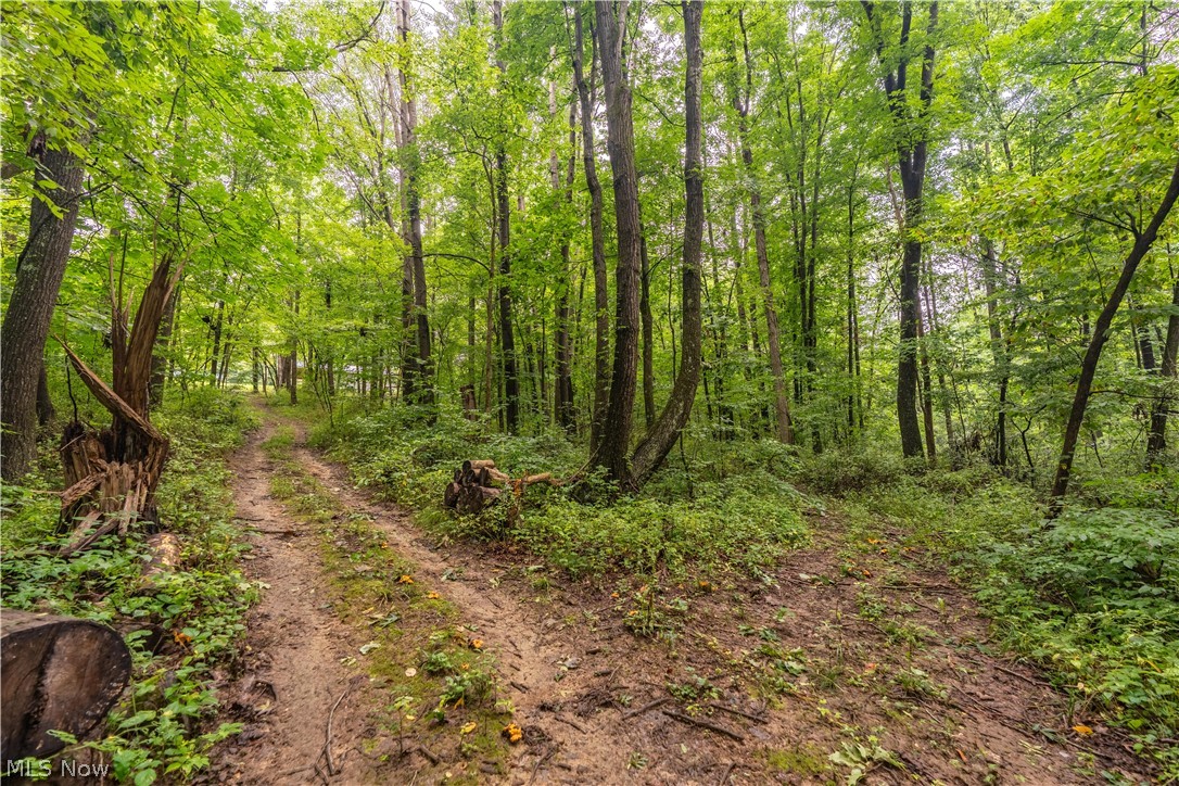 17881 Horseshoe Bend Road E Newcomerstown OH 43832