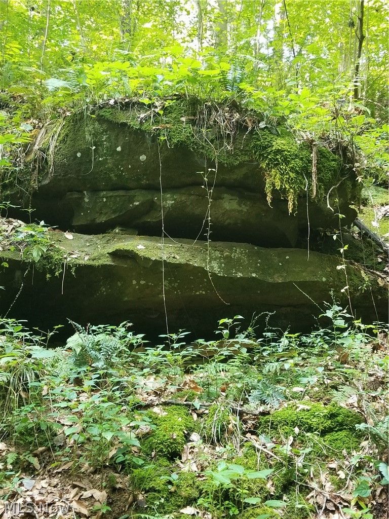 17881 Horseshoe Bend Road E Newcomerstown OH 43832