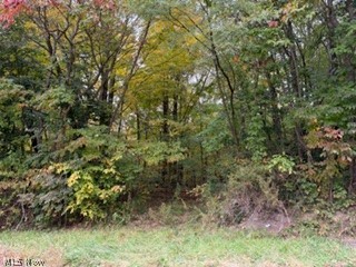 Leetonia OH, 37806 Butcher Road