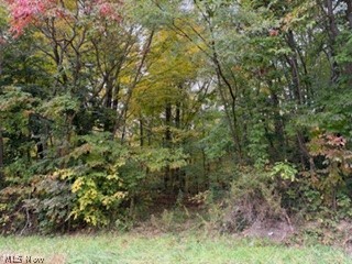 37806 Butcher Road Leetonia OH 44431