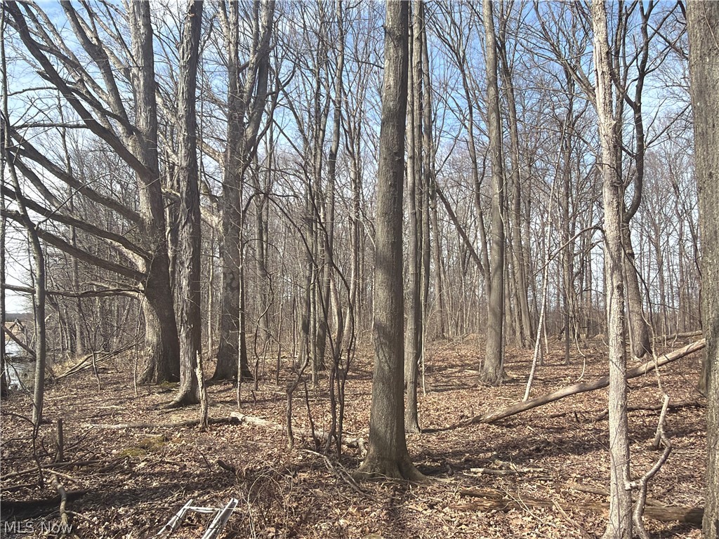 US-20 Oberlin OH 44074