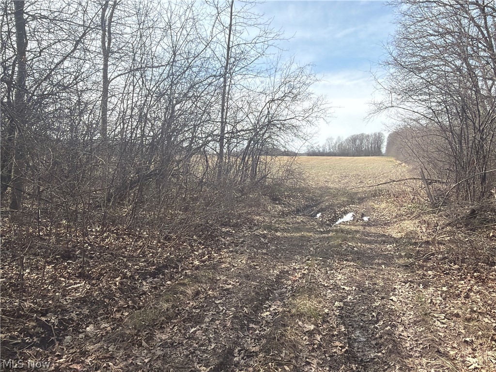 US-20 Oberlin OH 44074