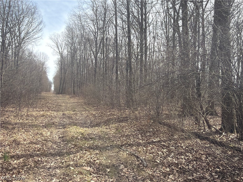 US-20 Oberlin OH 44074