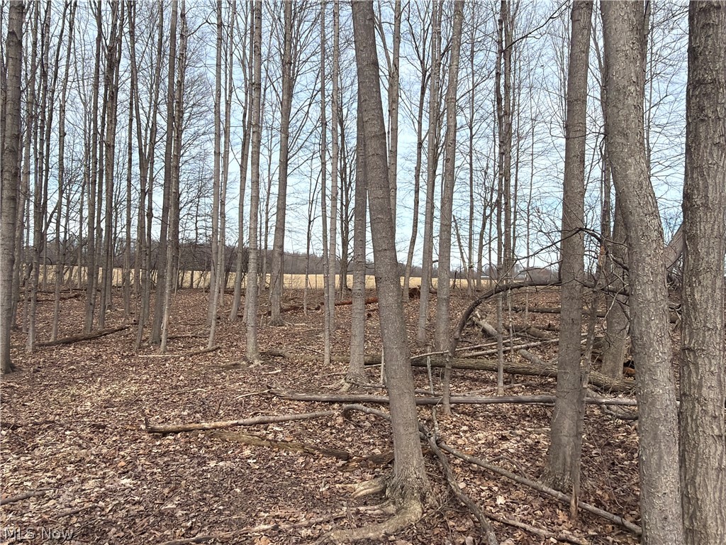 US-20 Oberlin OH 44074