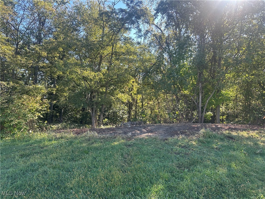 Fairmont Street Barnesville OH 43713