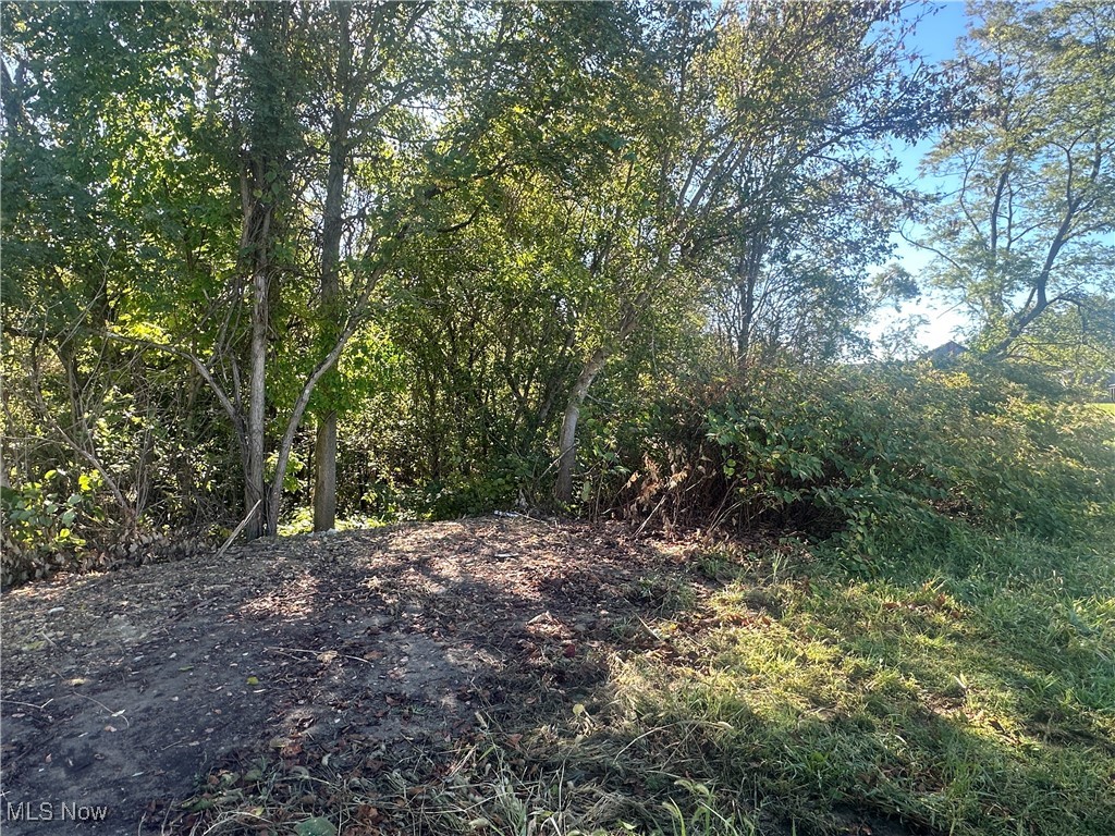 Fairmont Street Barnesville OH 43713