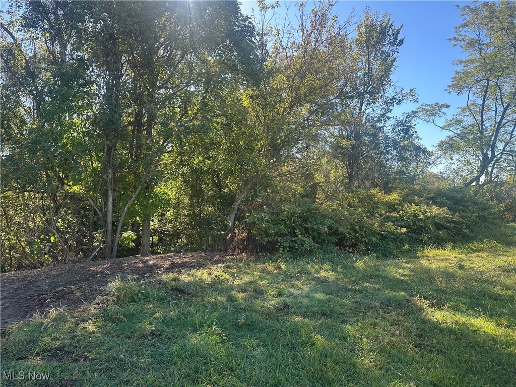 Fairmont Street Barnesville OH 43713