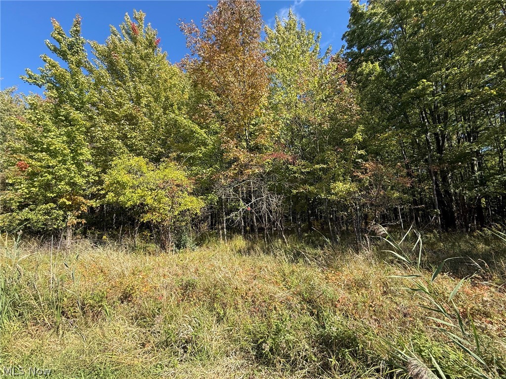 V/l 2 Trask Road Leroy OH 44086