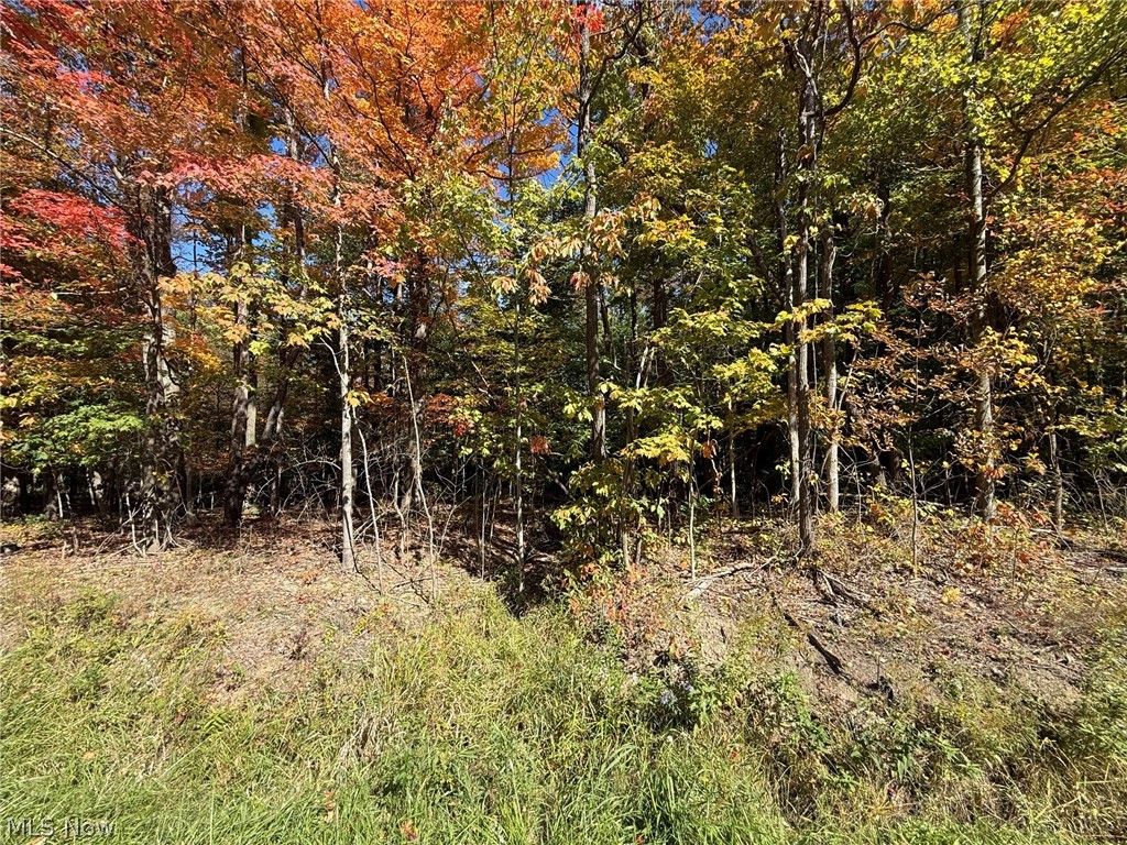 V/l 2 Trask Road Leroy OH 44086