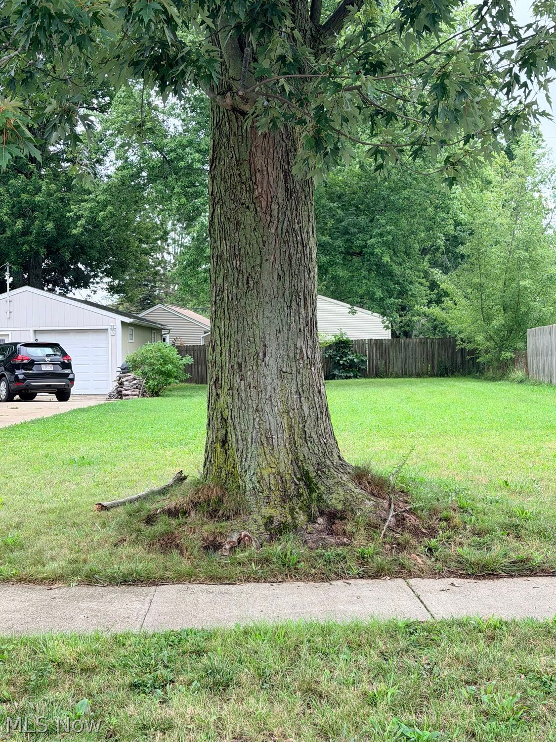 822 Longson Avenue Elyria OH 44035