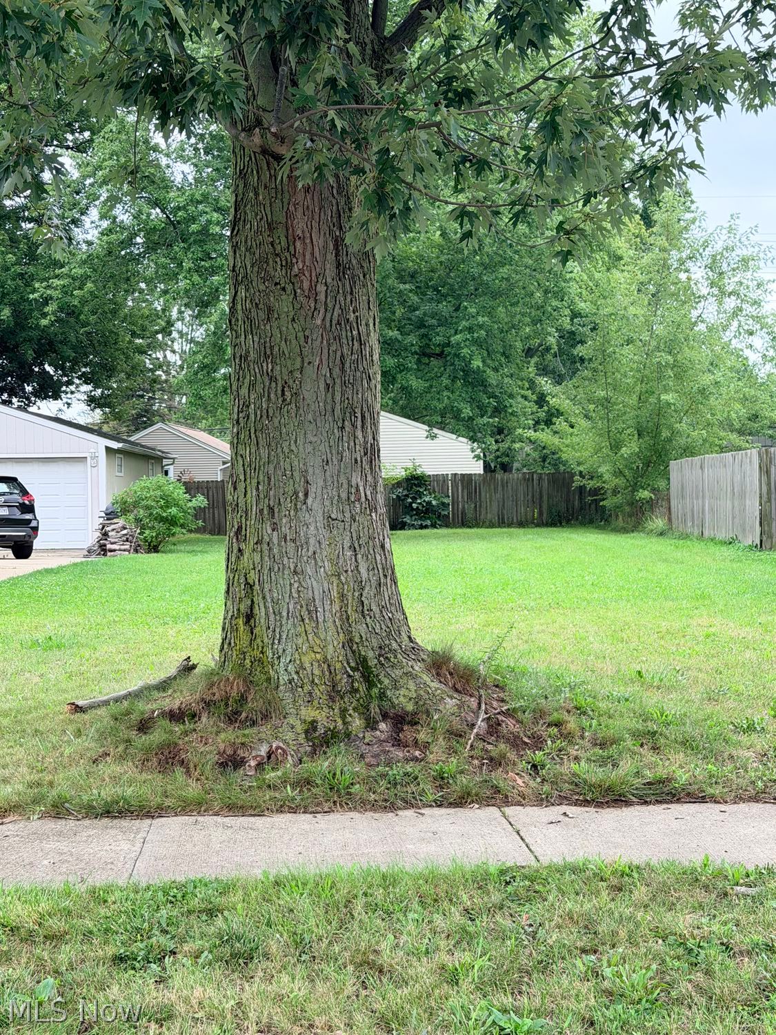 822 Longson Avenue Elyria OH 44035
